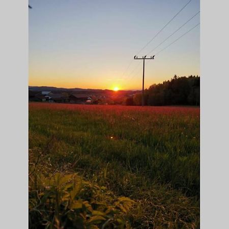 Ferienwohnung Ramona - Idyllisch Und Charmant Kirchdorf im Wald Exteriör bild