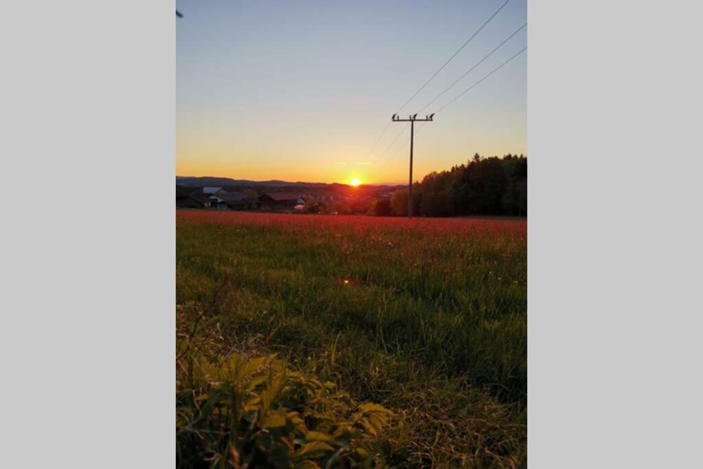 Ferienwohnung Ramona - Idyllisch Und Charmant Kirchdorf im Wald Exteriör bild