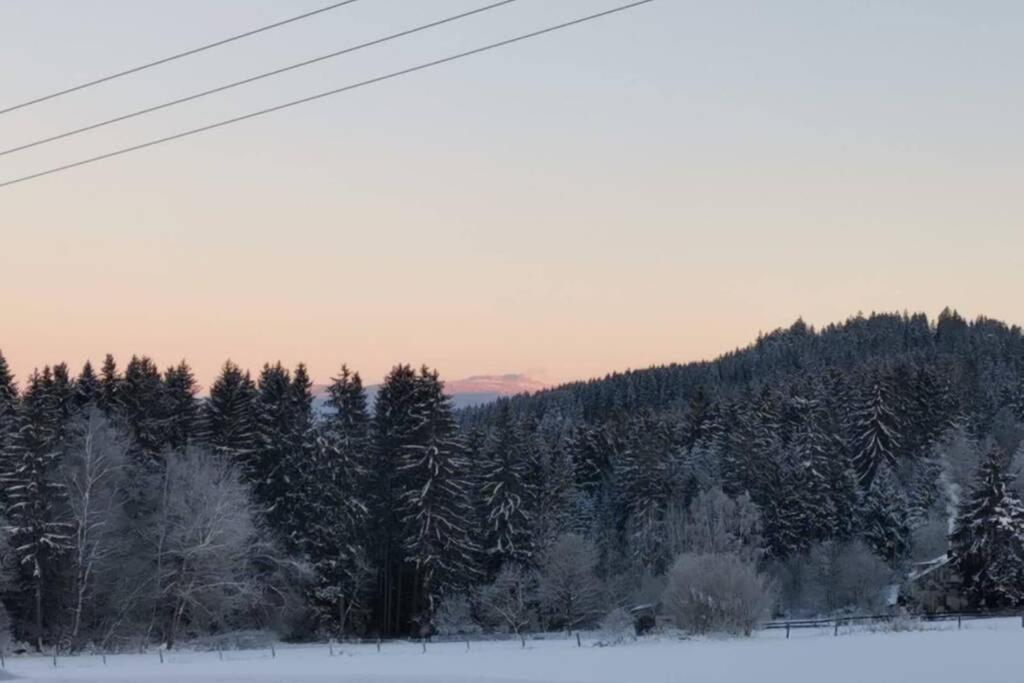 Ferienwohnung Ramona - Idyllisch Und Charmant Kirchdorf im Wald Exteriör bild